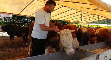 Ülke genelinde tüm hayvan pazarları kapatıldı