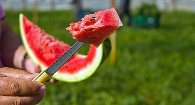 Yaz sofralarının vazgeçilmezi karpuzda tehlike! Vakalar giderek artıyor