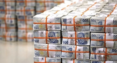 Bankalarda unutulan yaklaşık 732,1 milyon lira TMSF'ye aktarıldı