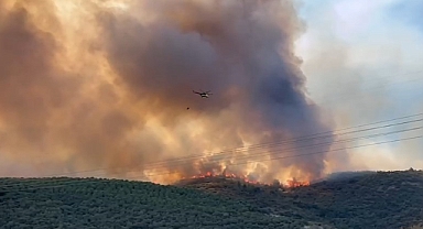 Bursa'da Orman Yangınıyla Mücadele Devam Ediyor