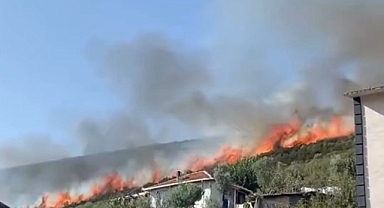 Bursa Orhangazi'de orman yangını çıktı