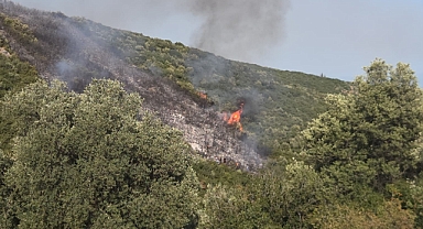 Bursa Orhangazi’de orman yangını kontrol altına alındı