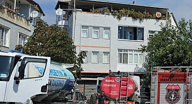 Mudanya'da korkutan yangın: Ekipler seferber oldu