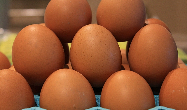Okulların açılması yumurtayı