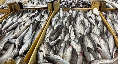 Balıkçılar 'Vira Bismillah' Dedi: Balık Çok Ama Tayfa Yok