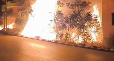 Bursa'da Alev Alan Ağaçlar Villaları Tehdit Etti