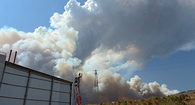 Bursa Gündoğdu tepesinde orman yangını