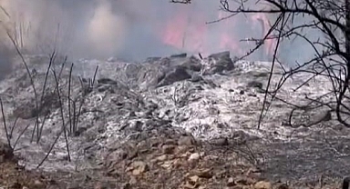 Çalılık alanda çıkan yangın korkuttu