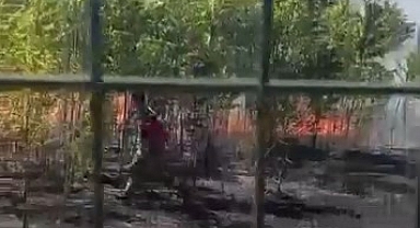 Ziraat Meslek Lisesinin Bahçesi Alevlere Teslim Oldu