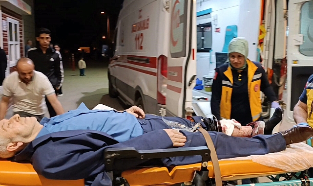 65 Yaşındaki Adamdan 15 Yaşındaki Gence İntikam Kurşunu