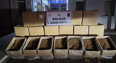 Bursa'da 750 Kilogram Kaçak Tütün Ele Geçirildi