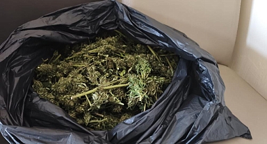 Bursa İnegöl'de Güvercin Kümesinde 2 Kilo Esrar Ele Geçirildi