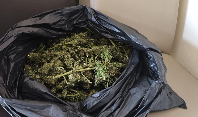 Bursa İnegöl'de Güvercin Kümesinde 2 Kilo Esrar Ele Geçirildi