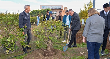 BUÜ’nün “50. Yıl Sokağı” fidanlarla renklendirildi