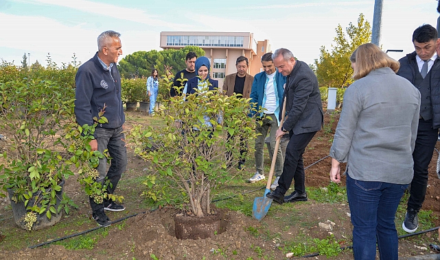BUÜ’nün “50. Yıl Sokağı” fidanlarla renklendirildi