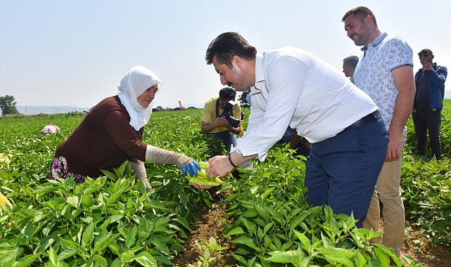 Dünya gıda pazarında Türkiye’nin ürünleri yer alacak