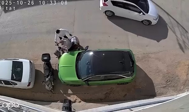 Park halindeki otomobile çarpıp hiçbir şey olmamış gibi kaçtı