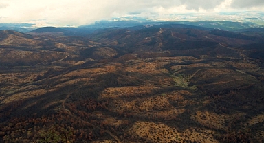 953 Hektar Kül Oldu, Bursa'yı Yeniden Yeşertecek 300 Bin Fidan İçin İlk Adım Atıldı