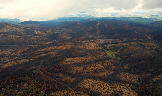 953 Hektar Kül Oldu, Bursa'yı Yeniden Yeşertecek 300 Bin Fidan İçin İlk Adım Atıldı
