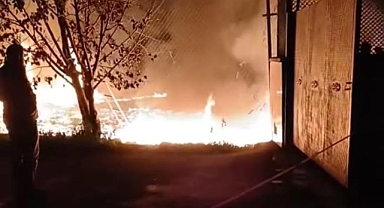 Bursa'da Trafoda Çıkan Yangın Meyve Kasalarına Sıçradı