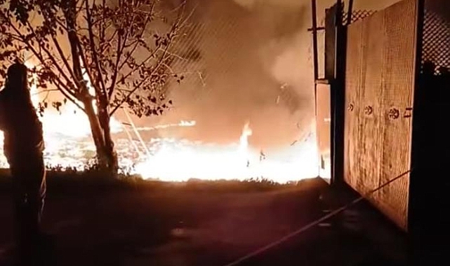 Bursa'da Trafoda Çıkan Yangın Meyve Kasalarına Sıçradı