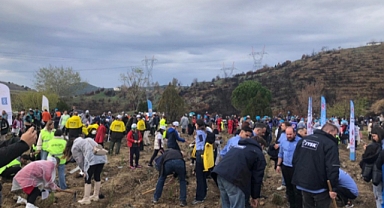 Bursa’da Yanan Ormanlar Milli Ağaçlandırma Günü’nde Yeniden Yeşeriyor
