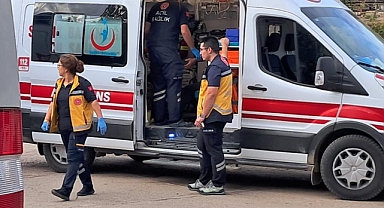 Bursa İznik'te 8 İşçi Tavuklu Pilavdan Zehirlendi