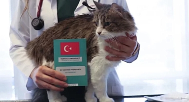 Evcil Hayvan Sahipleri İçin Son Uyarı: 31 Aralık’a Kadar Mikroçip Yaptırmayan Yandı