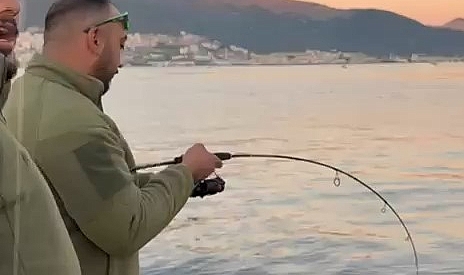 Gemlik Körfezi’nde balıkçıların oltasına köpek balığı takıldı