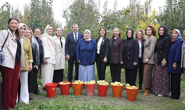 Gürsu'da kadınlar aynı tarlada birleşti: