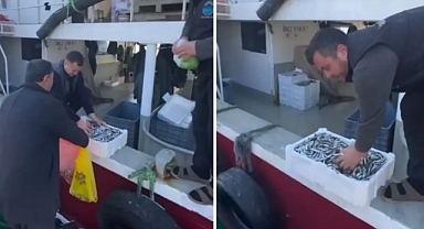 Kasalar Dolusu Balığı Bedava Dağıttılar! Nedeni de Bir O Kadar İlginç
