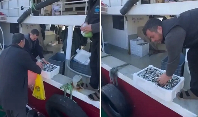 Kasalar Dolusu Balığı Bedava Dağıttılar! Nedeni de Bir O Kadar İlginç