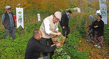 Osmangazi Belediyesi Ahududu Hasadına Başladı