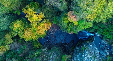 Sudüşen Şelalesi'nde Sonbahar Güzelliği