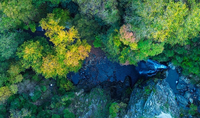 Sudüşen Şelalesi'nde Sonbahar Güzelliği