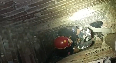 Yıldırım'da Havalandırma Boşluğuna Düşen Yavru Kedi Kurtarıldı