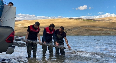 2025'te Deniz ve İç Sulara 83 Milyon Balık Bırakıldı