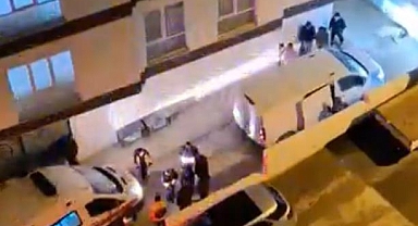 Bursa'da Başıboş Köpek Dehşeti: 3 Kişi Yaralandı