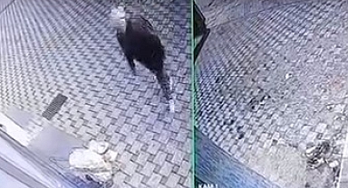 Bursa'da Pazar Arabası Hırsızlığı Kamerada: Vatandaş Tepkili