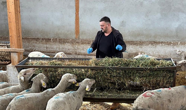 Bursa Yenişehir'de Şap Hastalığı Sonrası Üreticiler Destek Bekliyor