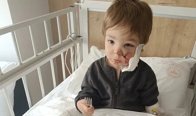 Etimesgut'ta Pitbull Saldırısı