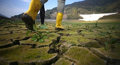 İklimde Kritik Dönemeç: 2023-2025 Arası İlk Kez 1,5 Derece Eşiği Aşıldı