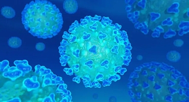 Lüks Yolcu Gemisinde Norovirüs Salgını