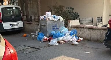 Maltepe ve Buca'da Çöp Sorunu Büyüyor: Vatandaşlar Sağlık Tehdidi Altında