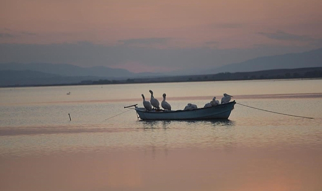 Manyas Barajı'ndaki Su Çekilmesi Nedeniyle Karacabey'de Çeltik Ekimi Yasaklandı
