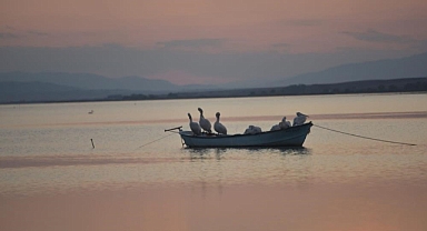 Manyas Barajı'ndaki Su Çekilmesi Nedeniyle Karacabey'de Çeltik Ekimi Yasaklandı