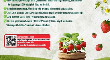 Osmangazi’den Çiftçiye %50 Hibeli Çilek Fidesi