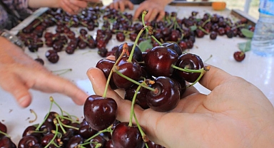 Türkiye'de İlk Coğrafi İşaret Günü 15 Aralık'ta Okullarda Başlıyor