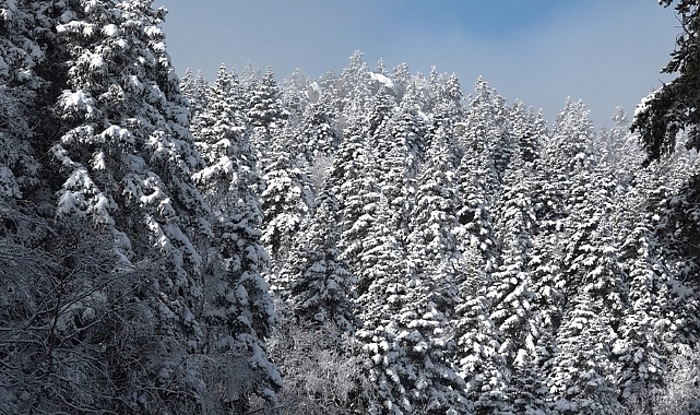 Uludağ’da göz gözü görmüyor