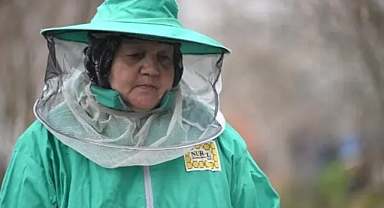 45 Yıldır Arıcılık Yapıyor: 10 Kovandan 300 Kovaya Uzanan Başarı Hikayesi